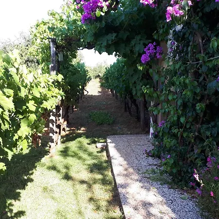 Apartment Marija Valbandon