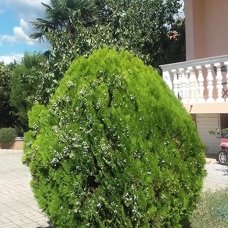 Marija *