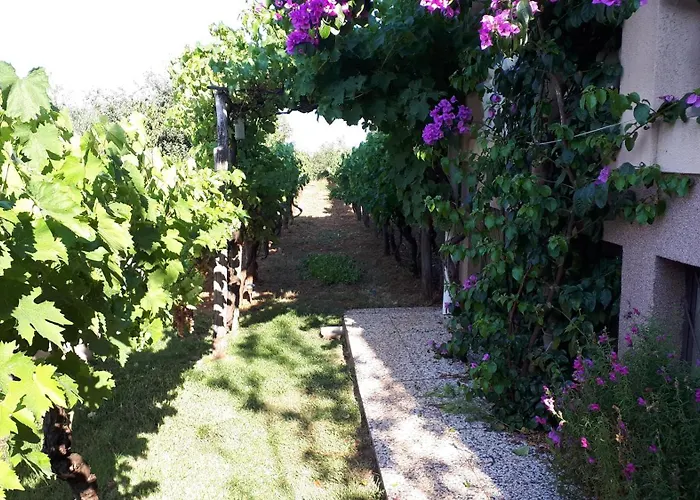 Apartman Marija Valbandon